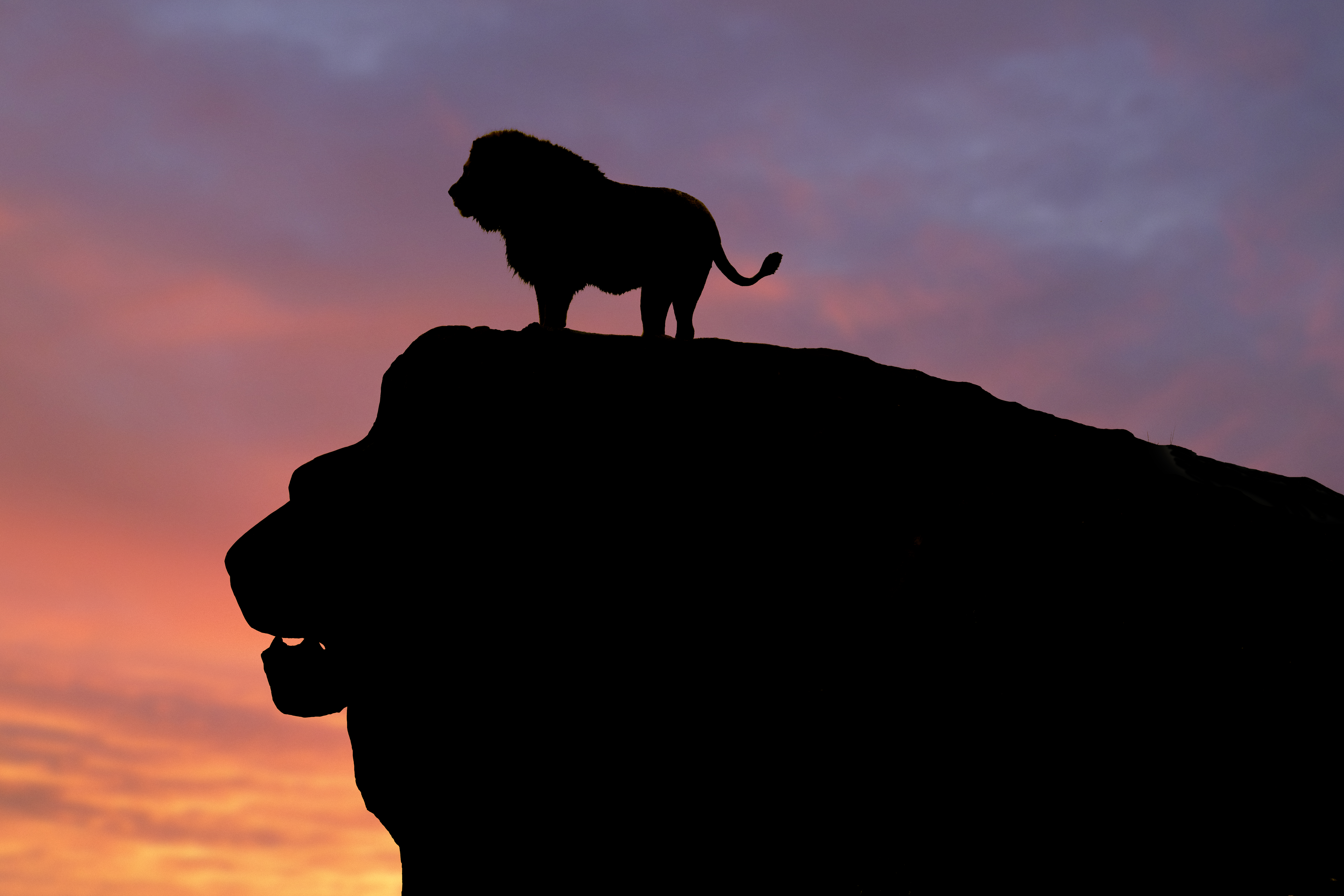 West Midlands Safari Park